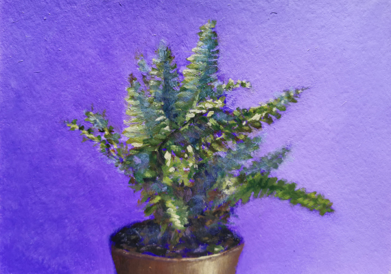 Fern<br>
A5 - oil on paper