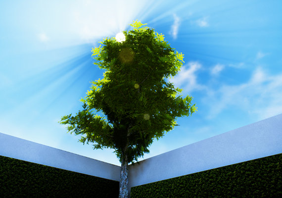 Texturing - UV Mapping - Lighting - Animating - Post processing<br>
Model : Eric Gilligan